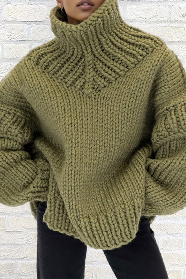 Casual Solid Turtle Rolled Neck Sweater