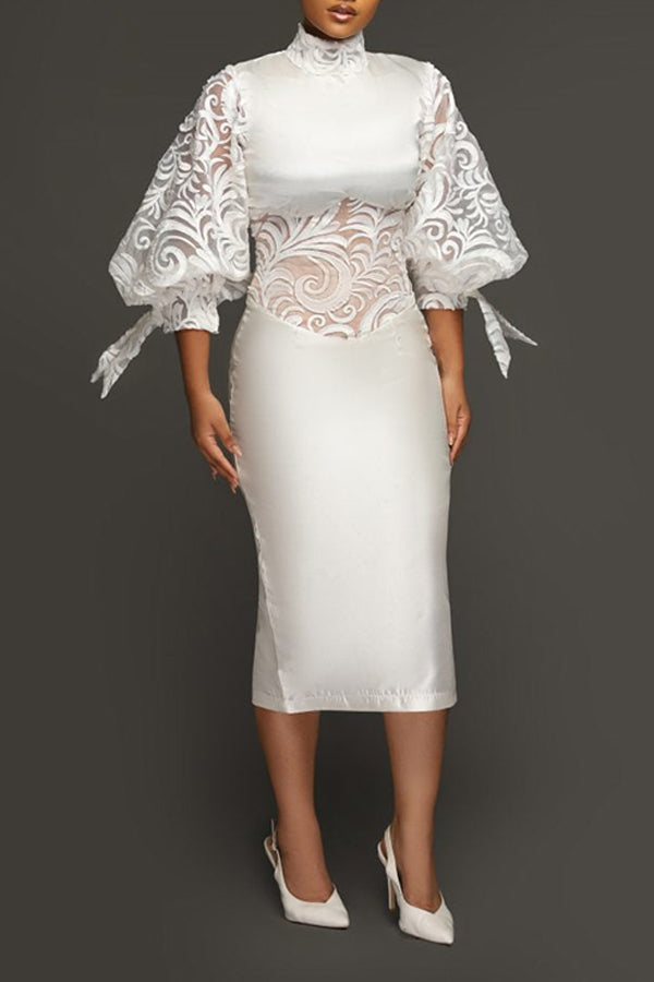 Elegant Embroidered Mesh Lantern Sleeve Midi Dress