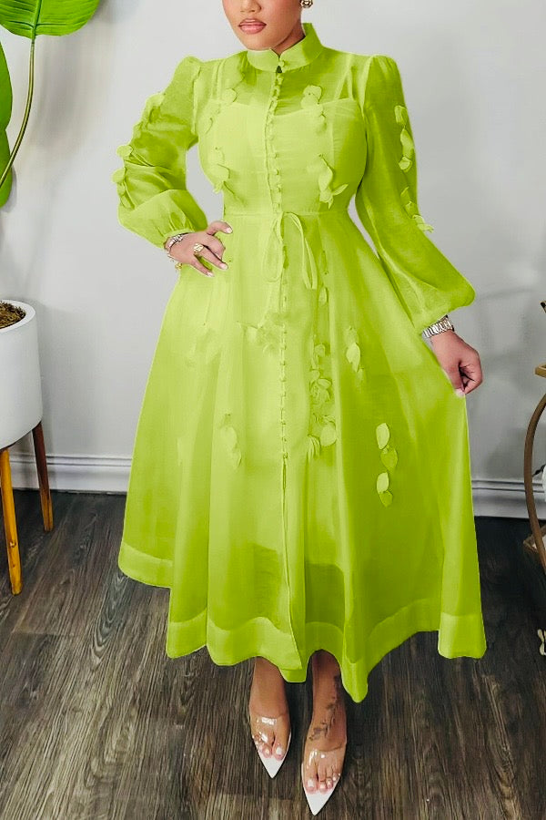 High Neck Hollow Out Lantern Sleeve Dress