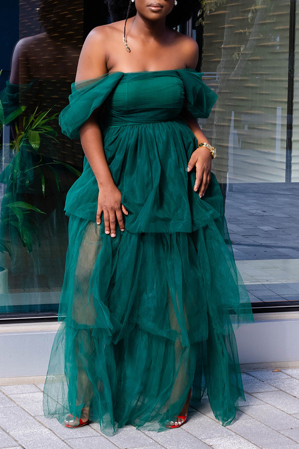 Elegant Off Shoulder Mesh Maxi Dress